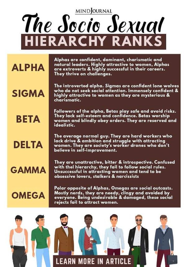 Image result for  What Does a Sigma Male Desire in a Relationship? infographics