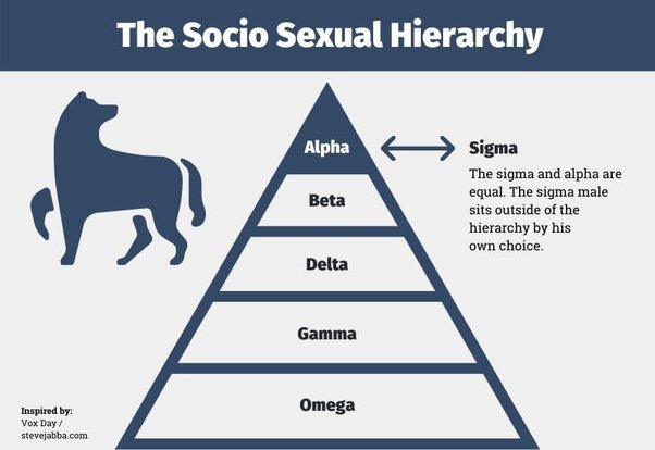 Image result for  What Does a Sigma Male Desire in a Relationship? infographics